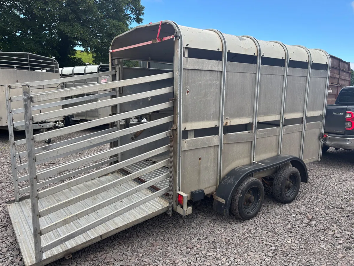 Ifor Williams 10ft x 5ft cattle trailer - Image 3