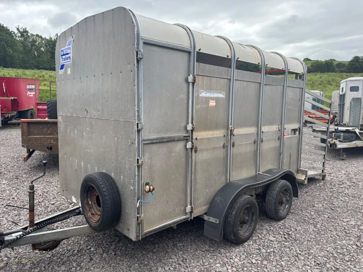 Ifor Williams 10ft x 5ft cattle trailer - Image 2