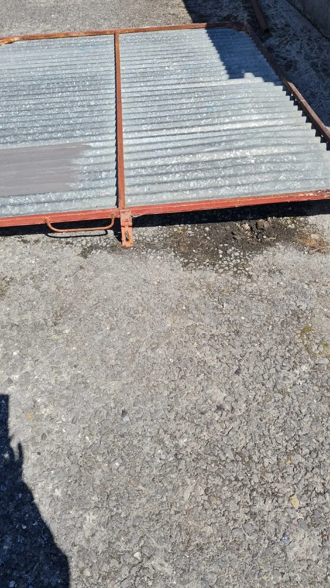 Galvanised shed door - Image 3