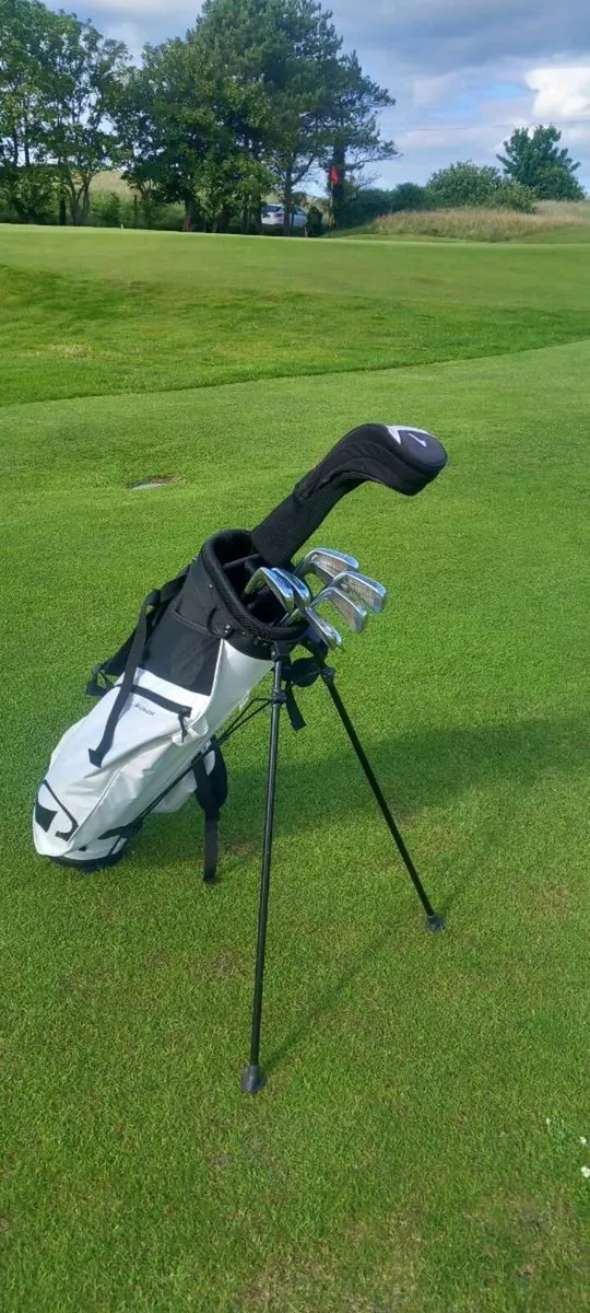 Titleist irons and ping g15 irons - Image 1
