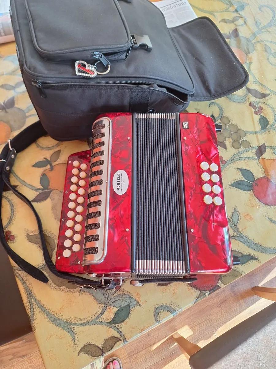 McNeela Button Accordion - Image 4