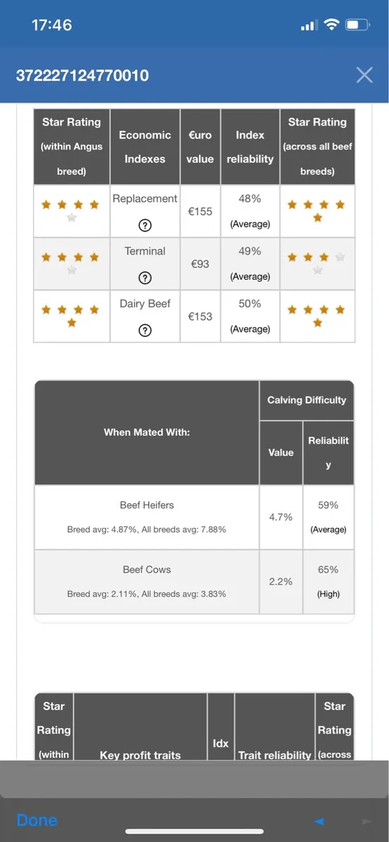 ****Pedigree Angus Bull**** - Image 4
