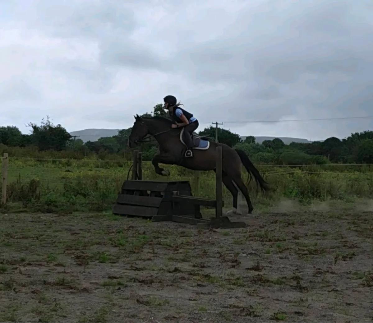 148cm pony club allrounder - Image 4