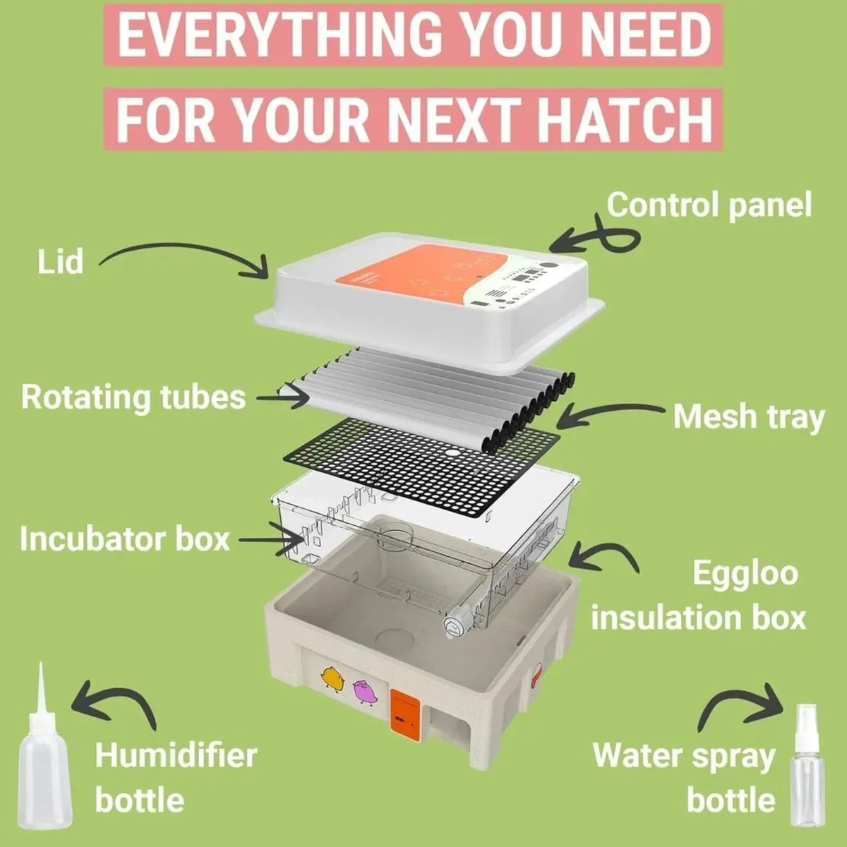 36 Egg Incubator with Auto Turner for Poultry - Image 4