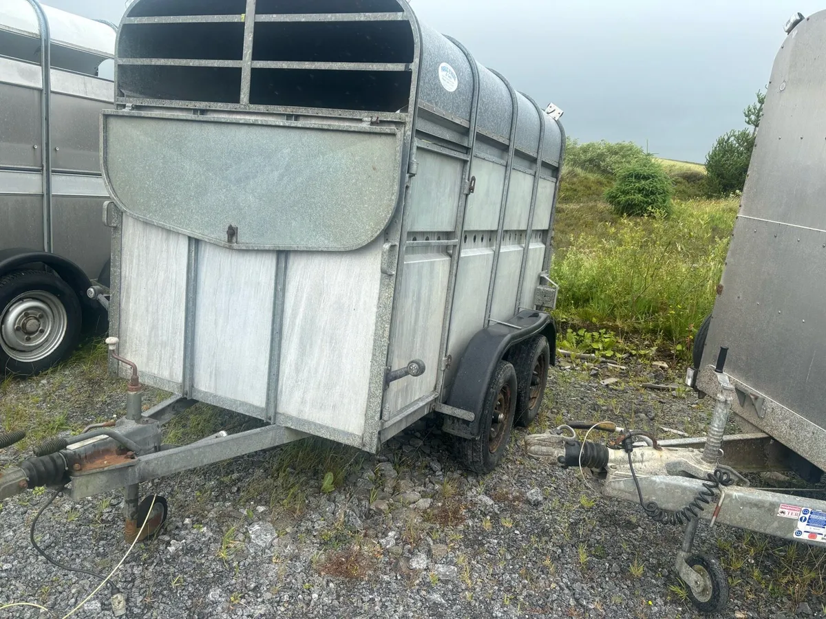 8x5 2 cow box trailer - Image 1