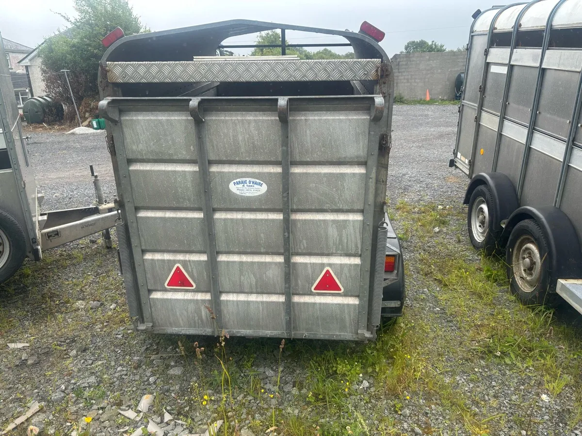 8x5 2 cow box trailer - Image 3