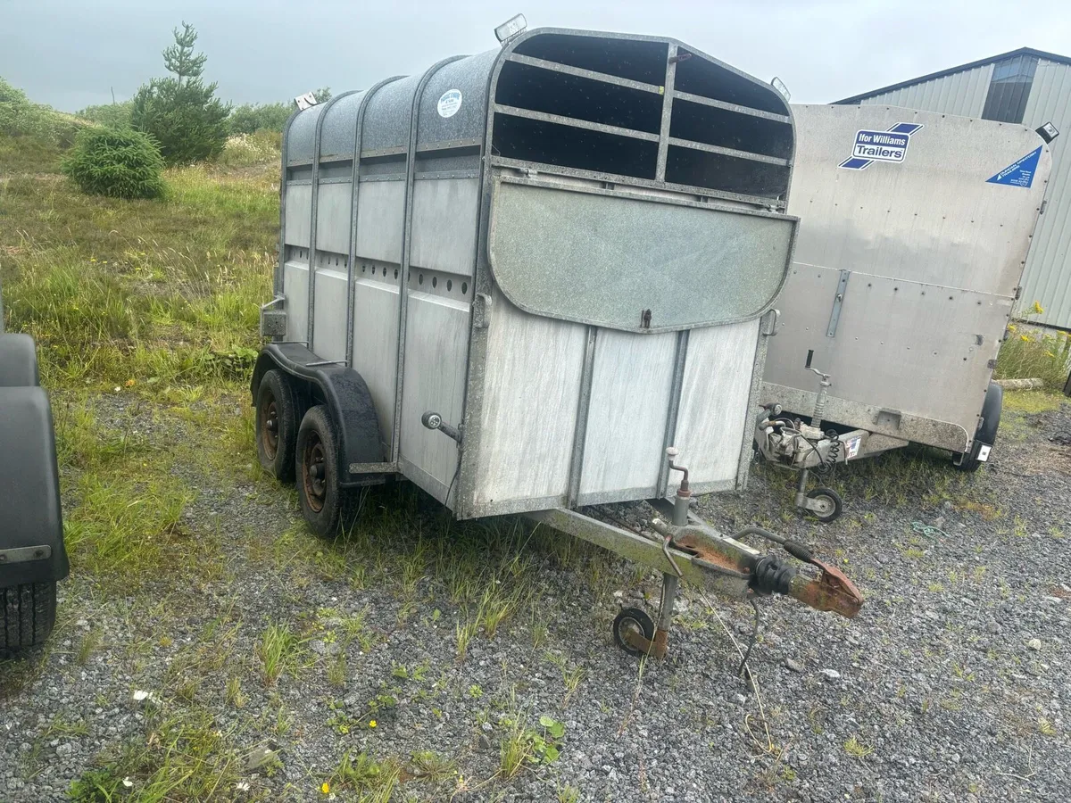 8x5 2 cow box trailer - Image 4