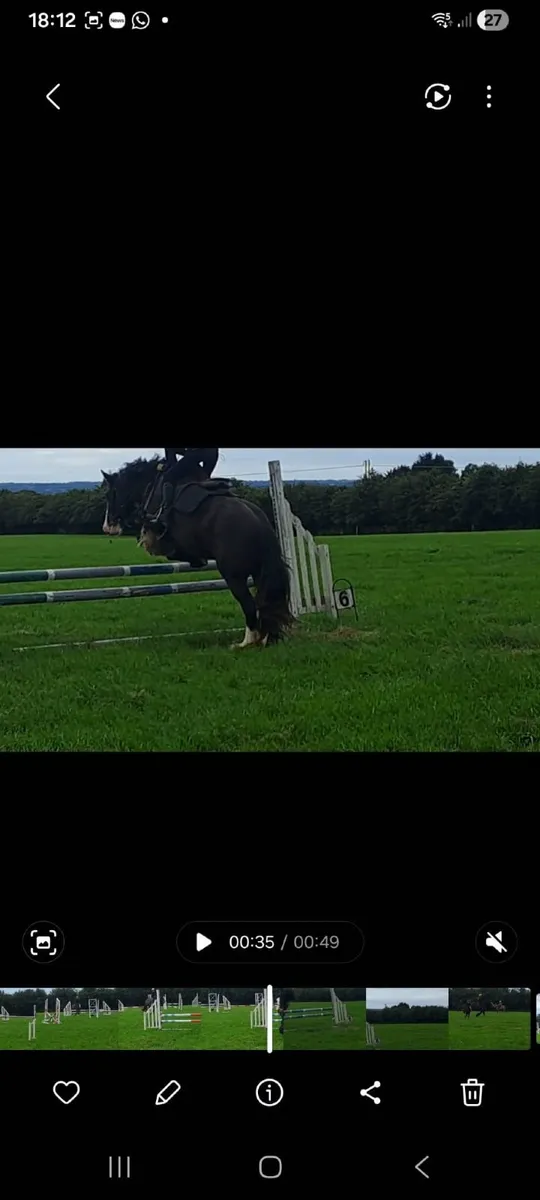 Cob - Image 3
