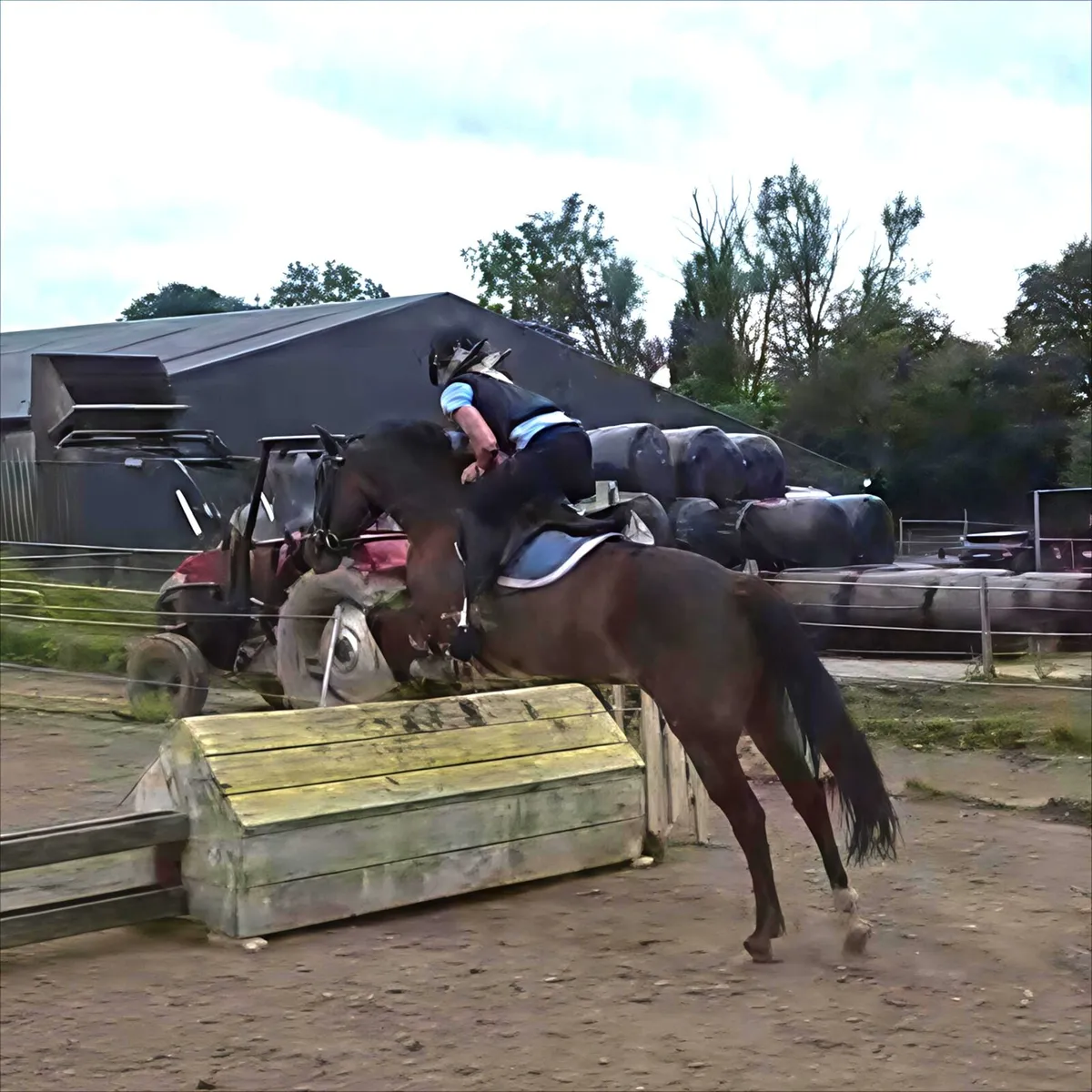 148cm pony club allrounder - Image 2