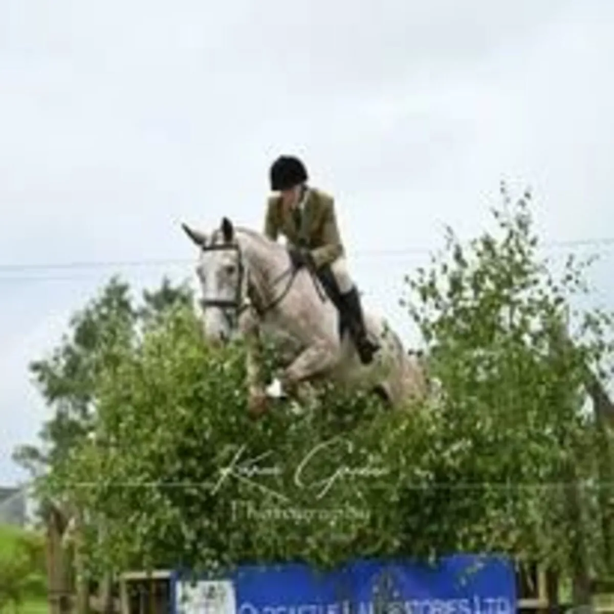 Oldcastle Agricultural Show 2026 - Image 1