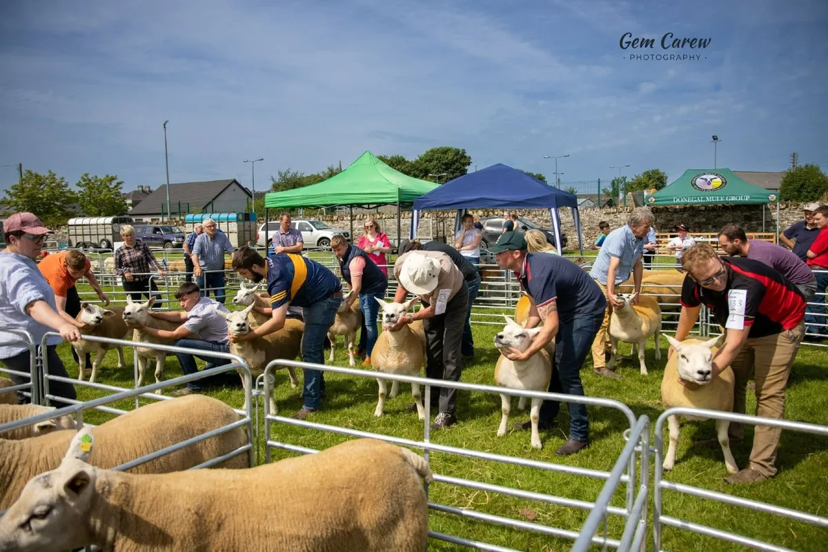 Oldcastle Agricultural Show 2026 - Image 2