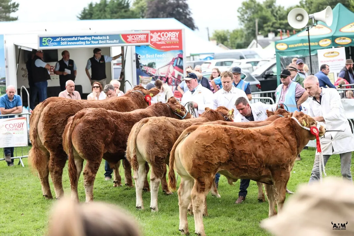 Oldcastle Agricultural Show 2026 - Image 4