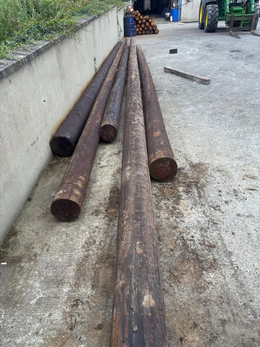 Strainers - Image 3