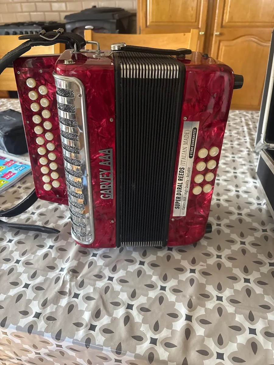 Accoridian - Image 2