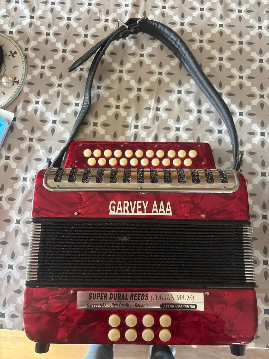 Accoridian - Image 1
