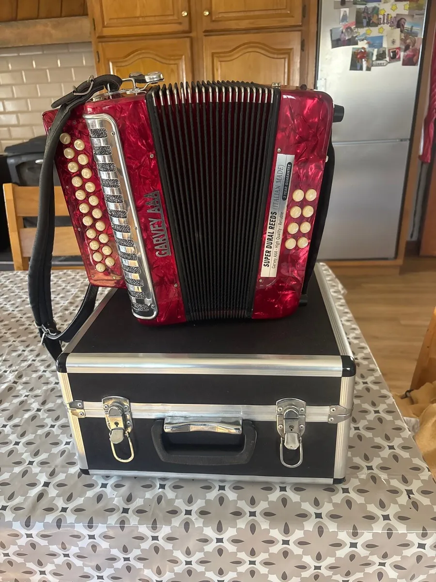 Accoridian - Image 3