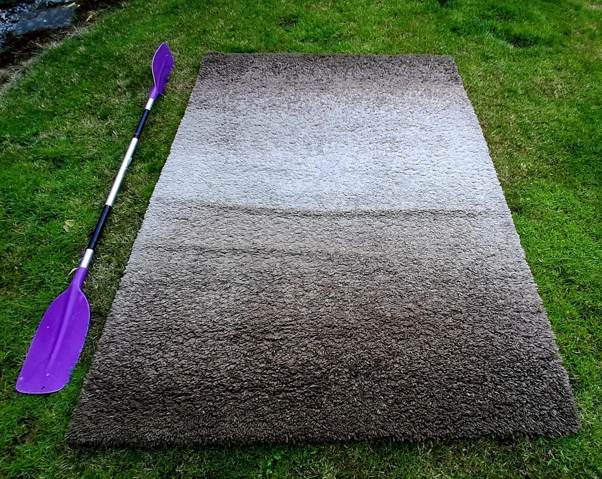 Large Rug FREE (suitable for pet lounging) - Image 1