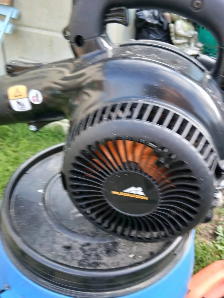 Blower - Image 2