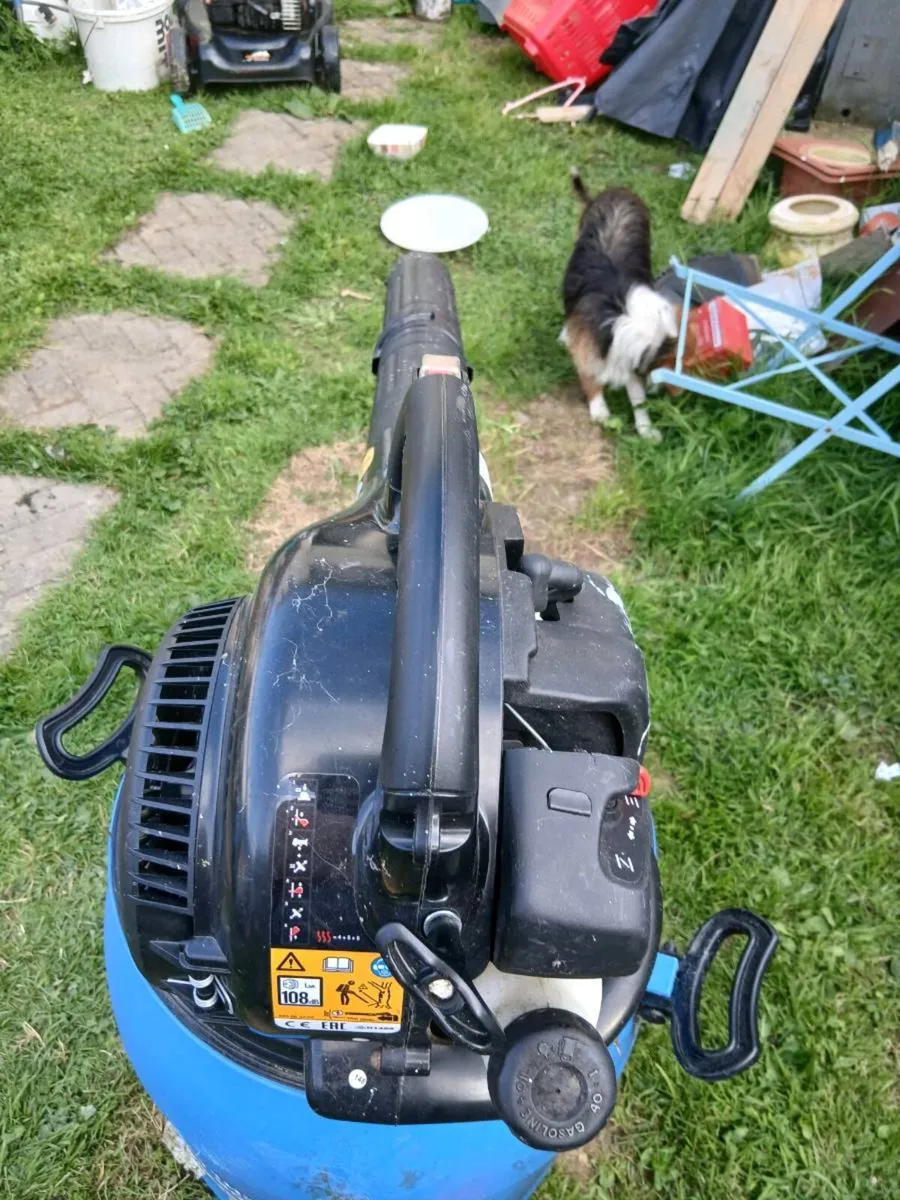 Blower - Image 1
