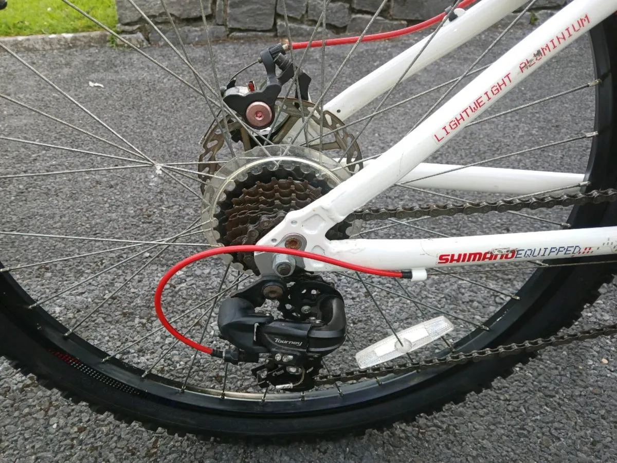 Apollo Evade Mountain Bike 14" frame - Image 4