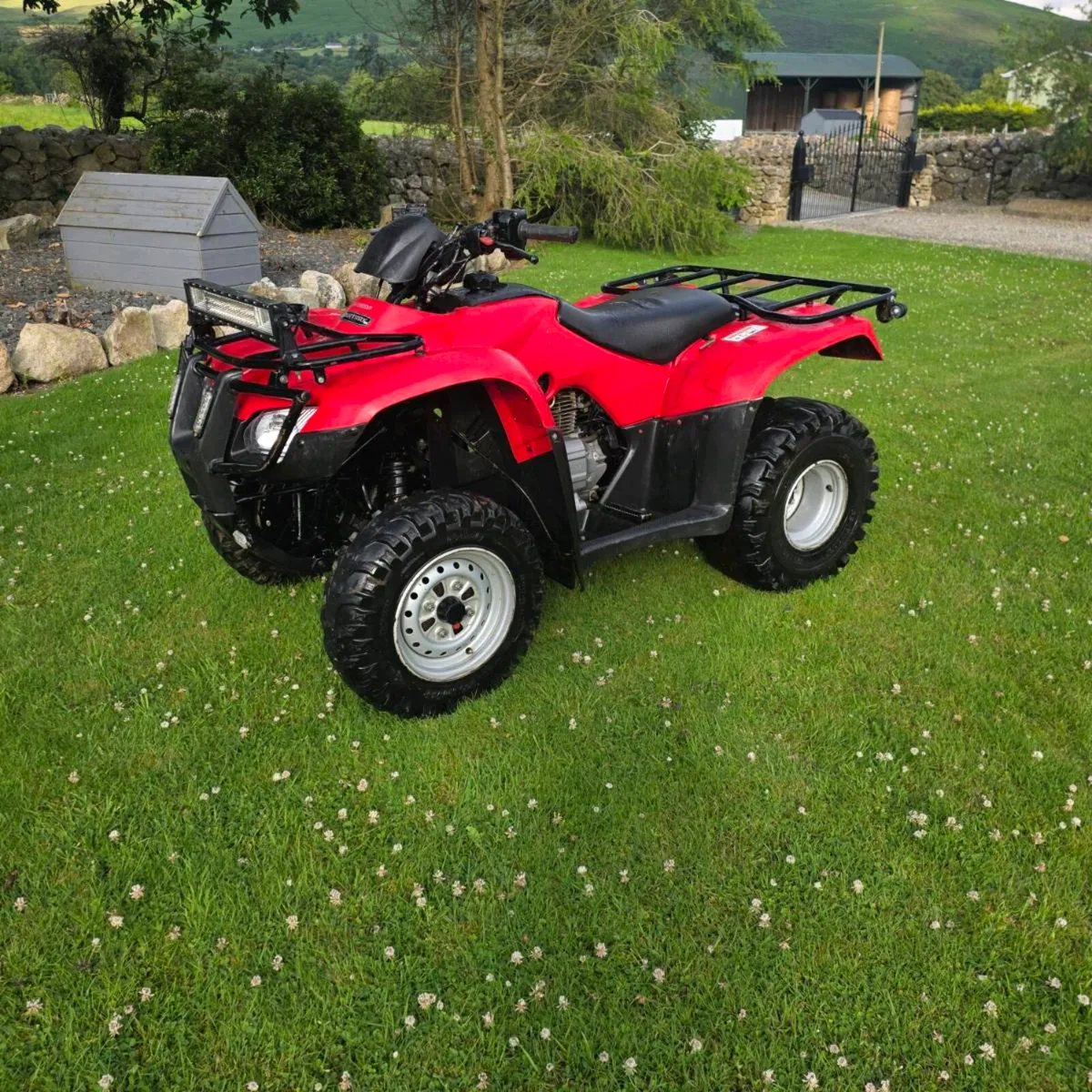 2016 Honda Trx 250 - Image 1