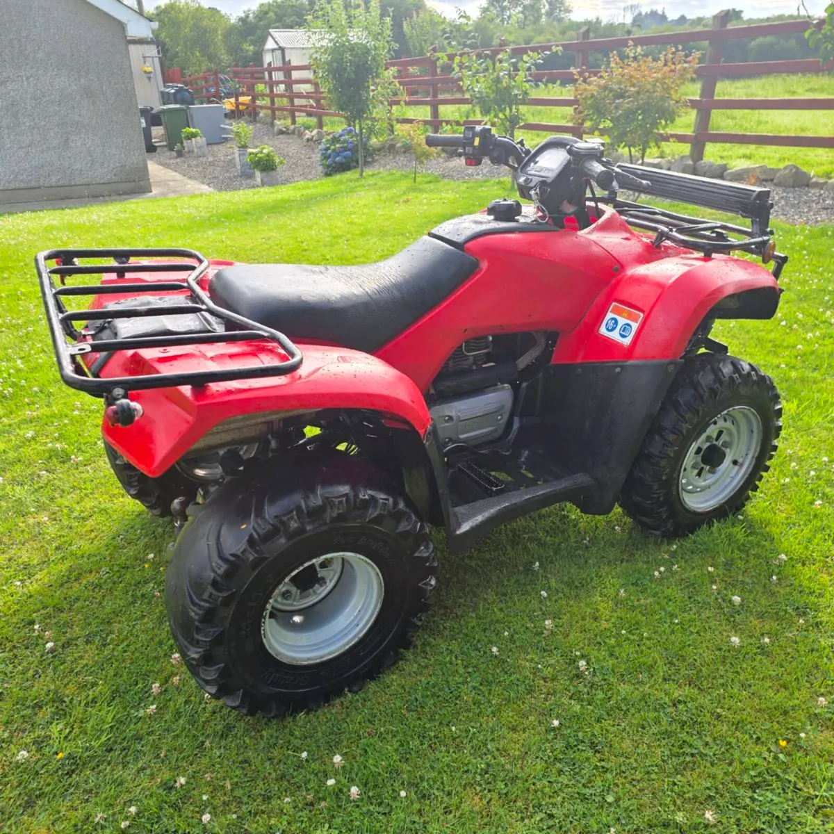2016 Honda Trx 250 - Image 3