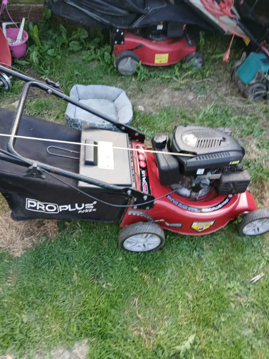 Mower - Image 1