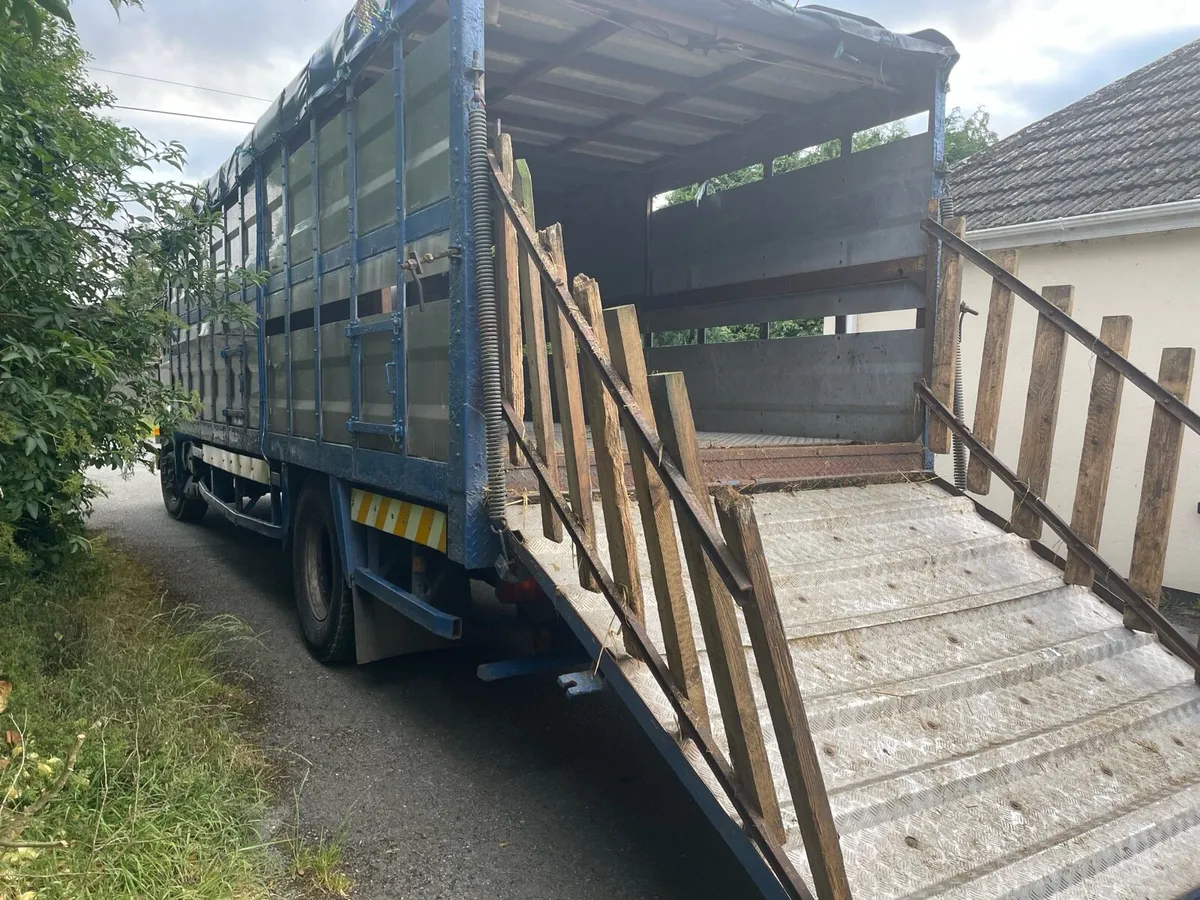 Vintage Scania Cattle Lorry - Image 2