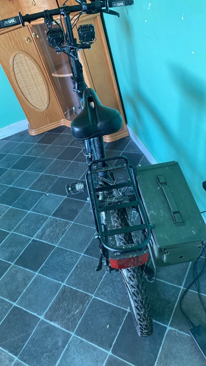 E bike - Image 1