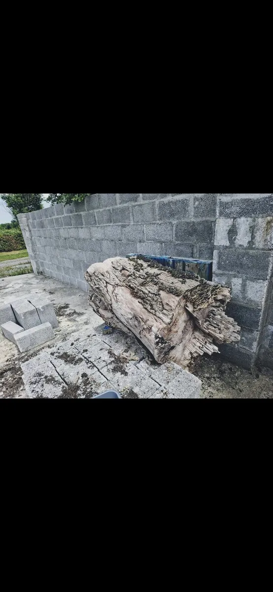 Oak (woodcraft) - Image 1