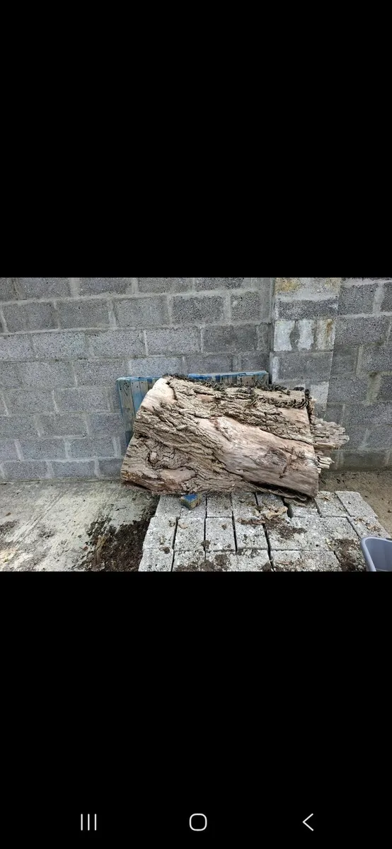 Oak (woodcraft) - Image 2