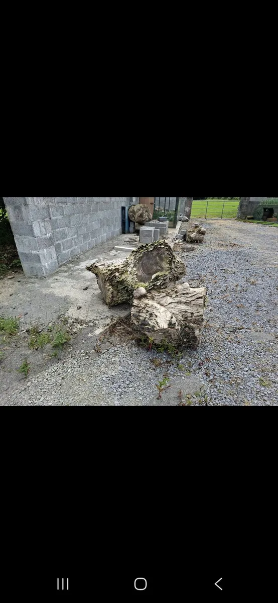 Oak (woodcraft) - Image 3