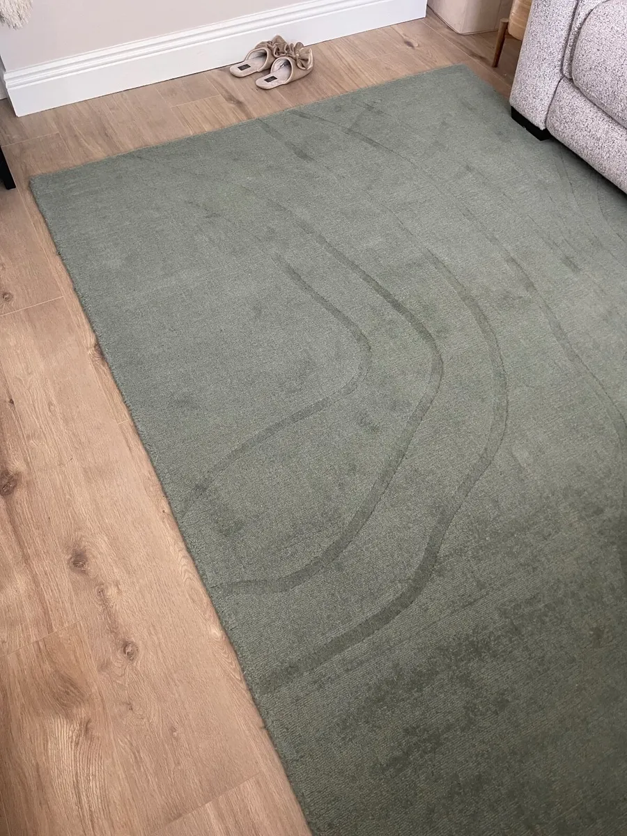 Sage Green Rug - Image 1