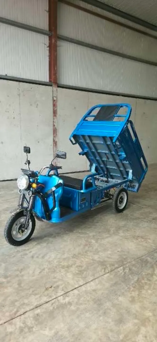 3 wheeled 24 volt electric mobility scooter tuktuk - Image 2