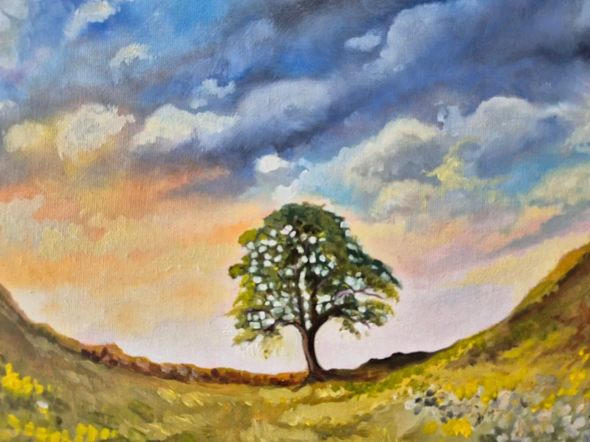 Sycamore Gap Tree - Oil painting - Image 1