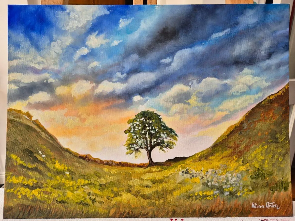 Sycamore Gap Tree - Oil painting - Image 2
