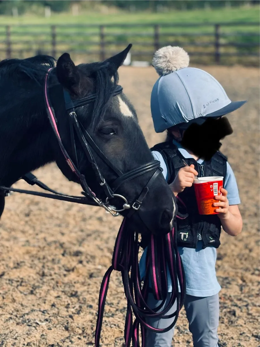 12h2 Pony - Image 1