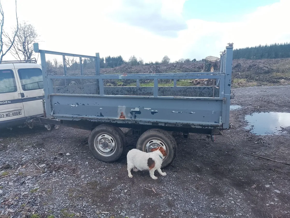 Tipper trailer - Image 4