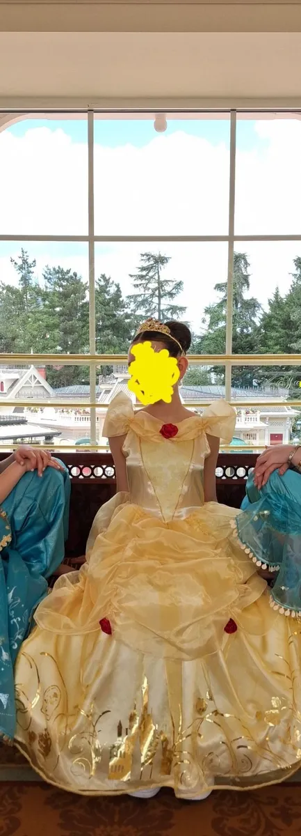 Disney Belle Dress