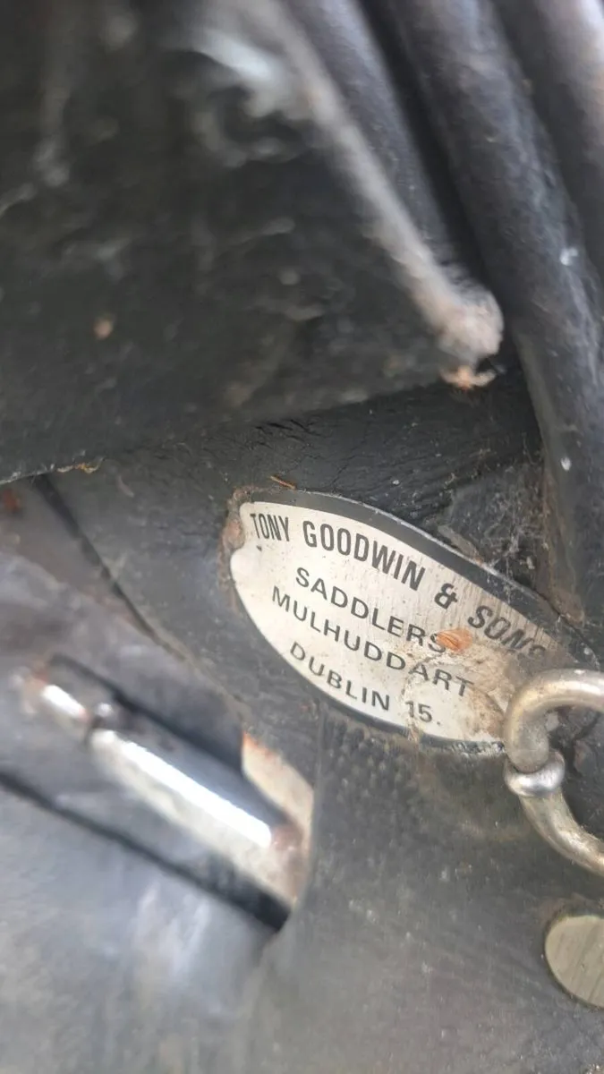 2 saddles 150 - Image 2
