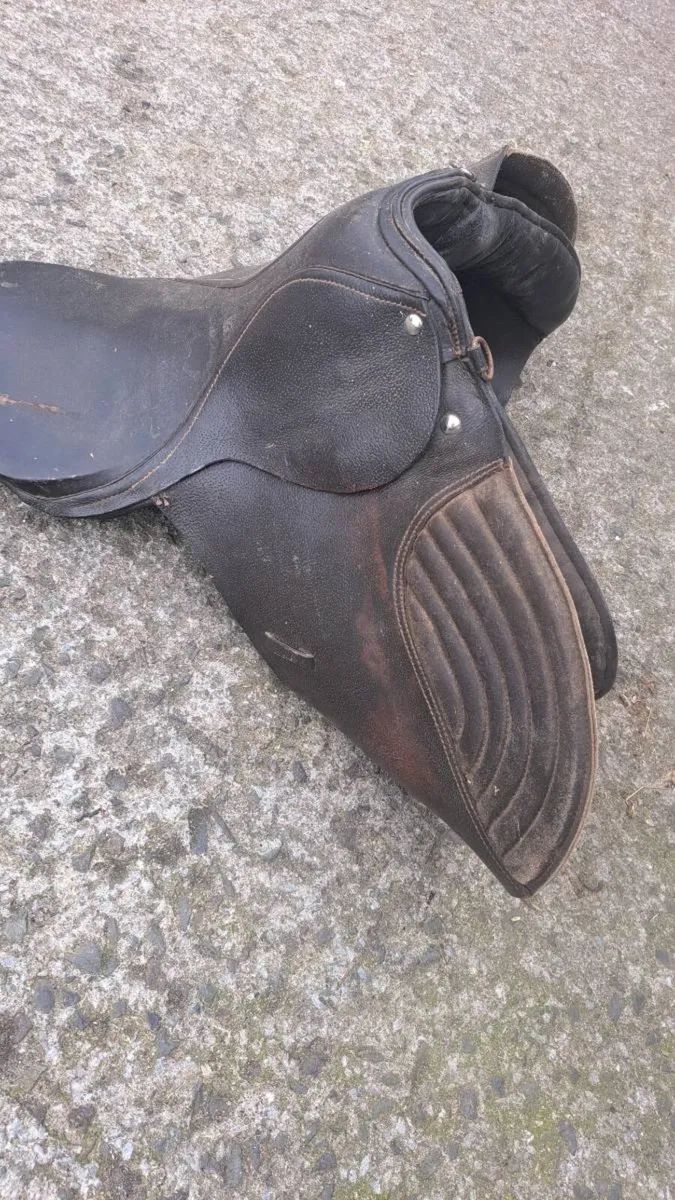 2 saddles 150 - Image 4