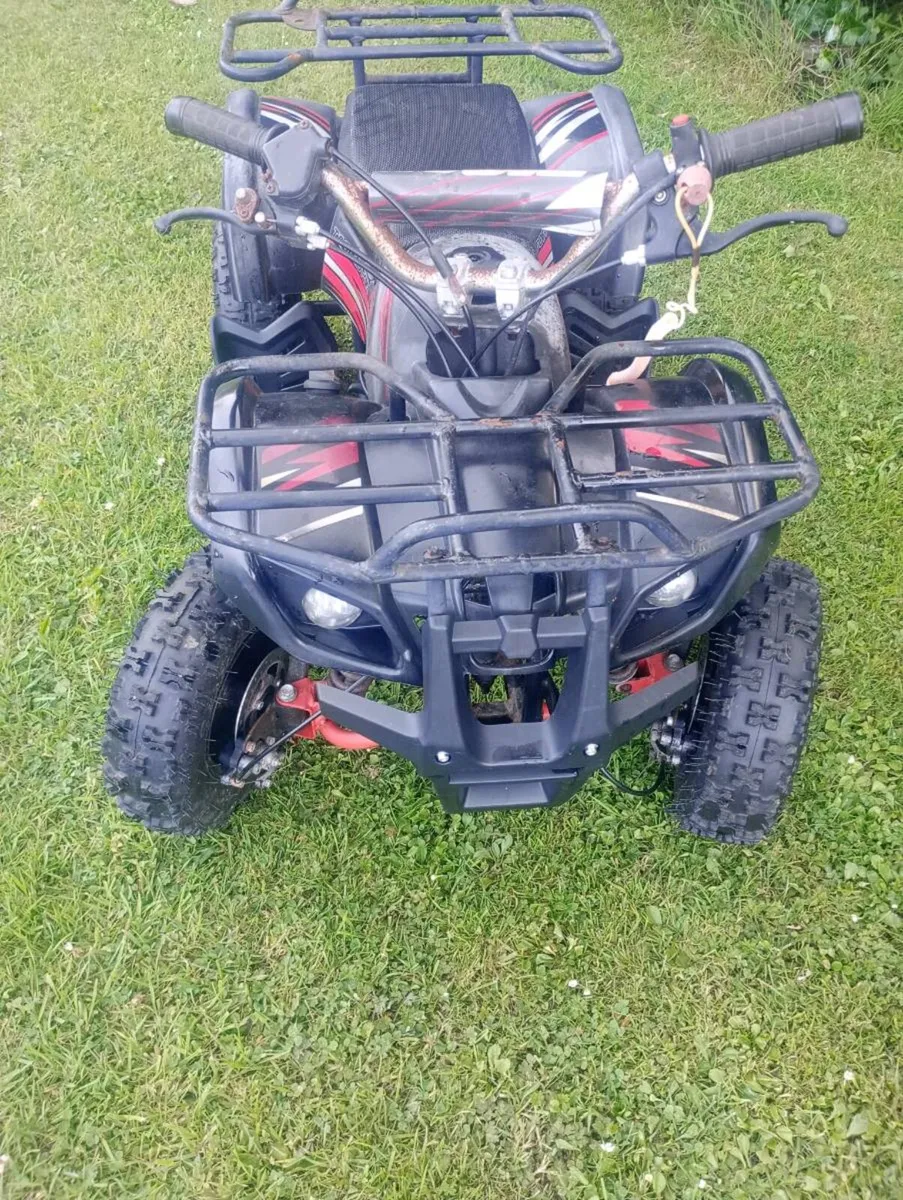 Quad kids - Image 2