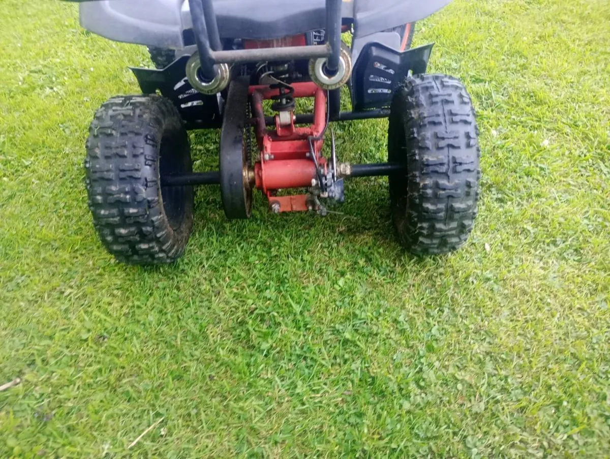 Quad kids - Image 3