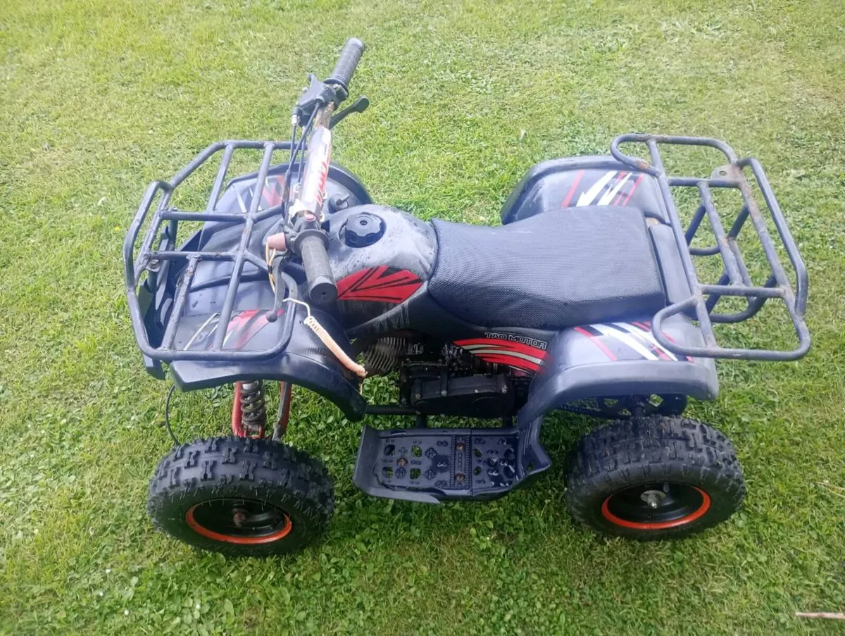 Quad kids - Image 4