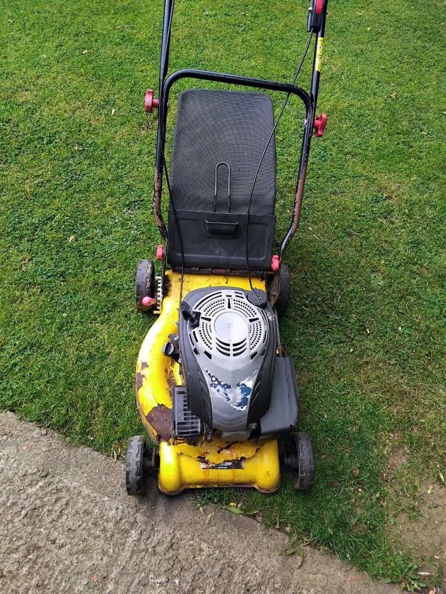 Mower - Image 1