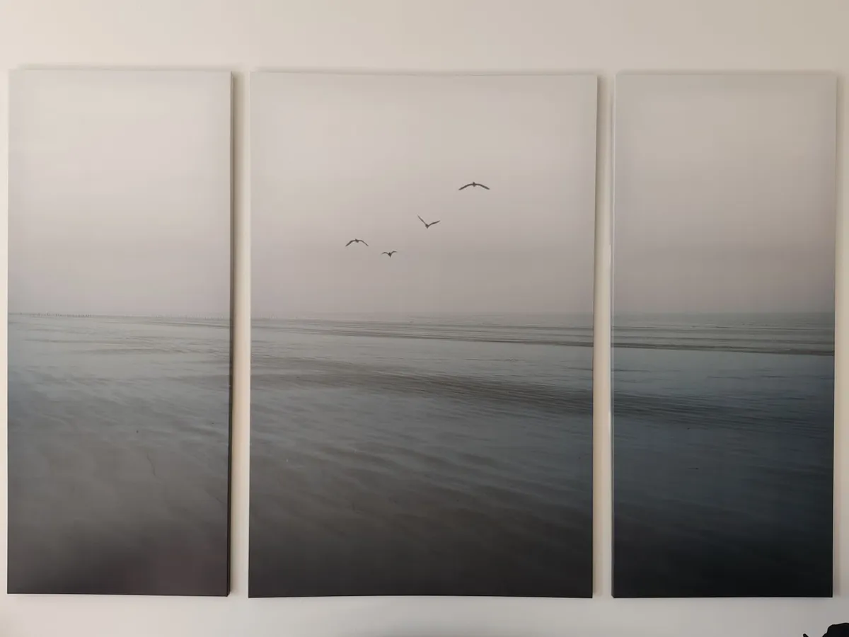 PJÄTTERYD picture set of 3 for sale - Image 1