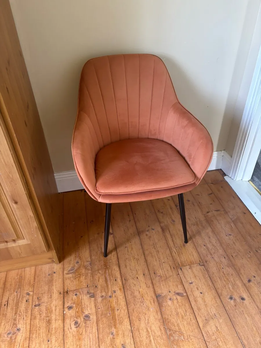 Dining chairs - Image 2