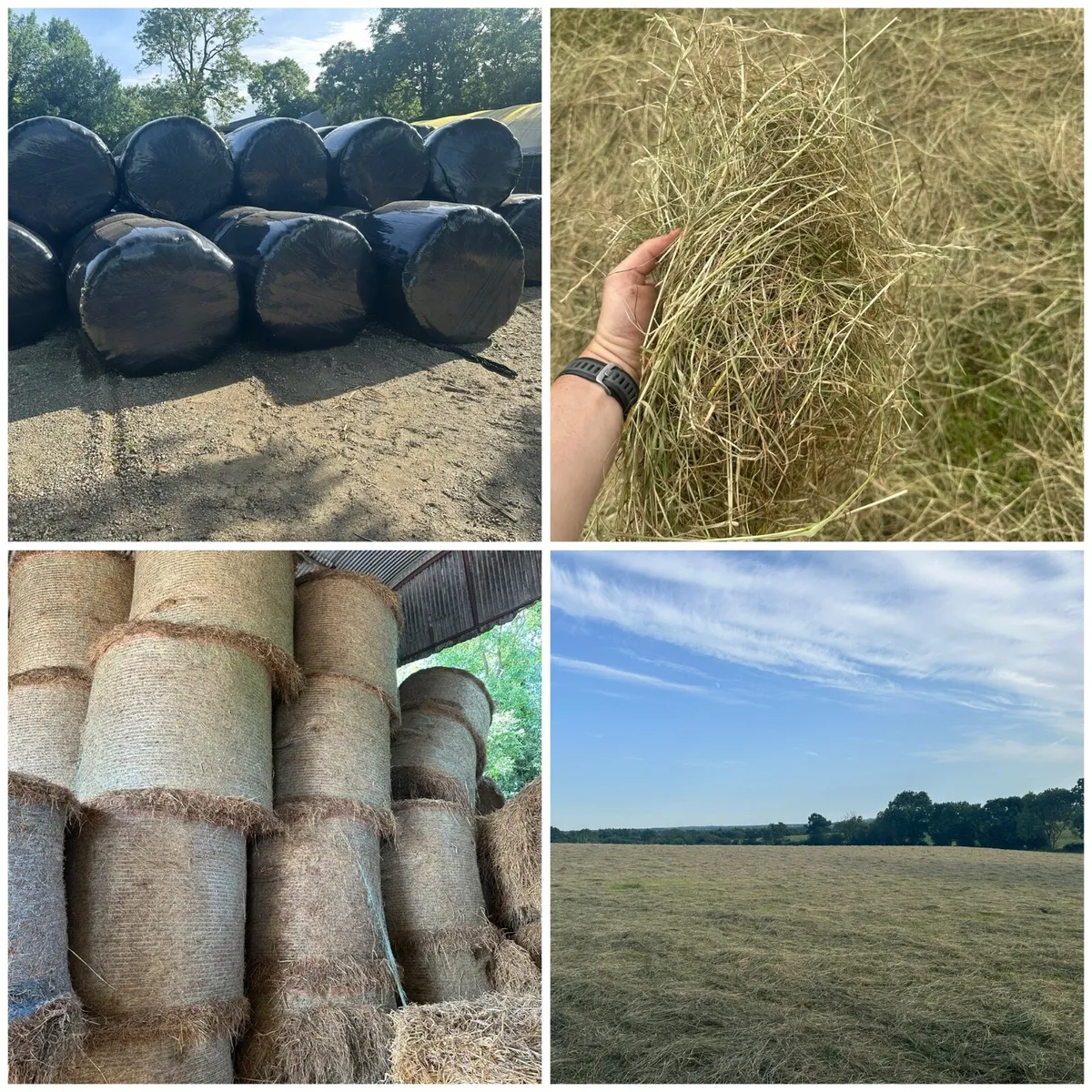 Hay and Haylage for sale - Image 1