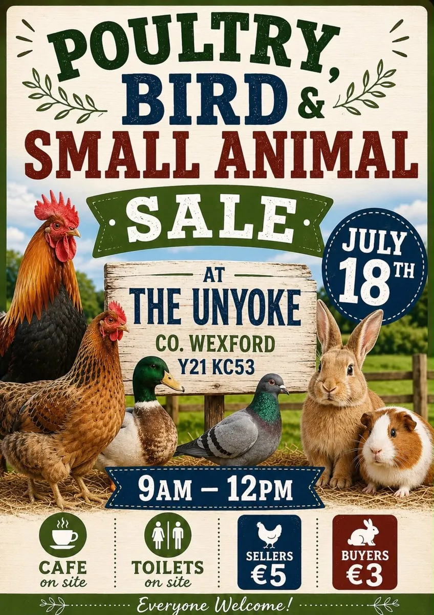 Poultry, Bird and Small Animal Sale