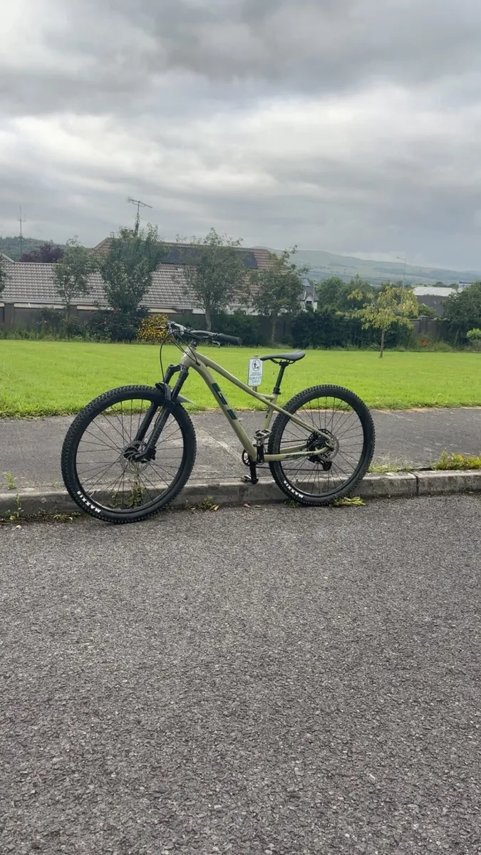 Mountain bike - Image 1